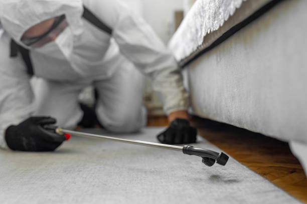 Professional Termite Control technician working in Geneva, NY