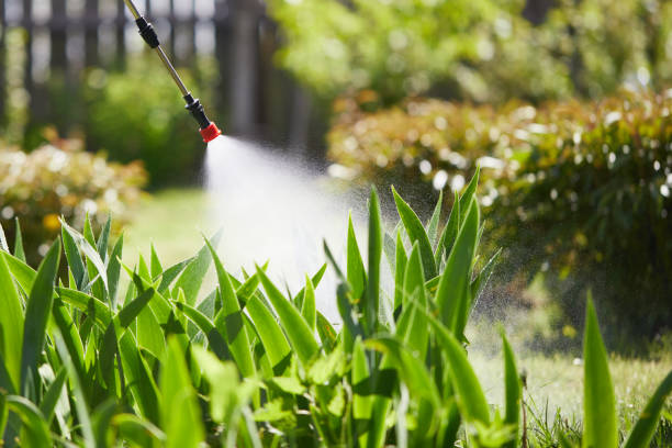 24/7 Emergency Termite Control experts in Geneva, NY